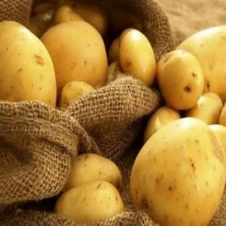 تصویر 1 از سیب زمینی زرد ممتاز و درجه یک